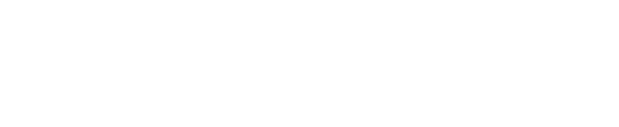 Smart Chain Logo